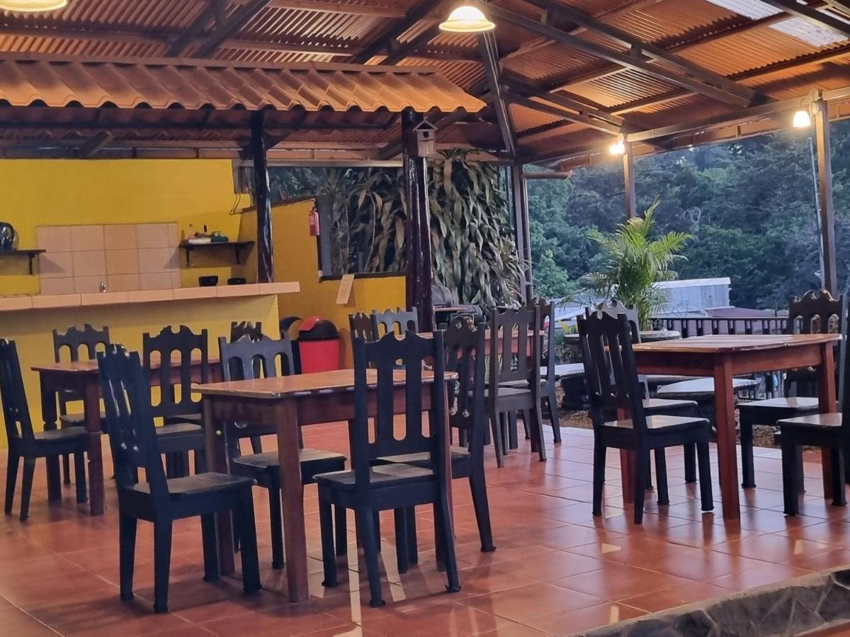 Cabinas Pura Vida B&B Tour Operator Drake Bay Ngoại thất bức ảnh