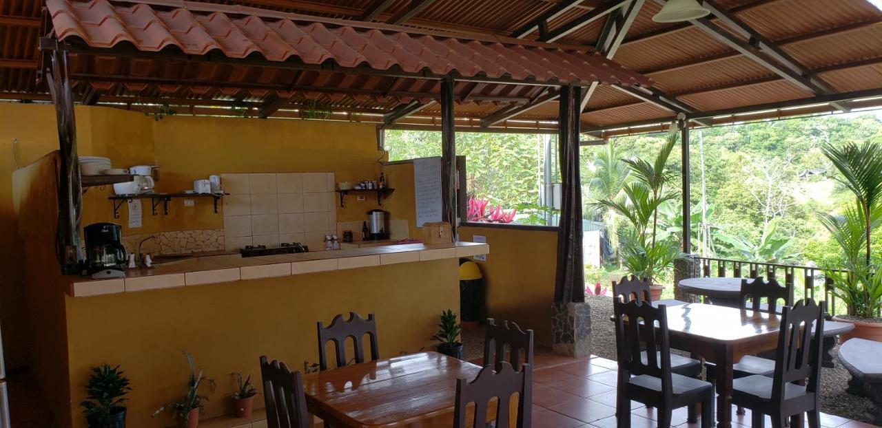 Cabinas Pura Vida B&B Tour Operator Drake Bay Ngoại thất bức ảnh